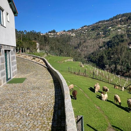 Quinta De Varzielas - Agroturismo Castelo de Paiva Εξωτερικό φωτογραφία