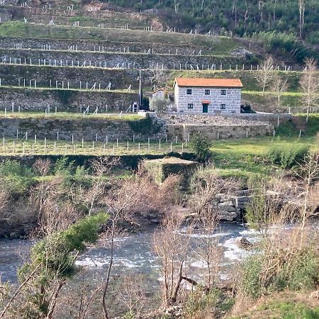 Quinta De Varzielas - Agroturismo Castelo de Paiva Εξωτερικό φωτογραφία