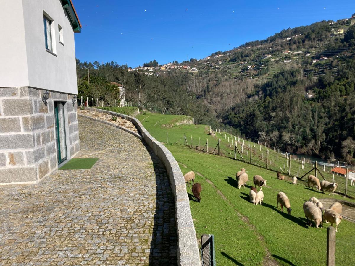 Quinta De Varzielas - Agroturismo Castelo de Paiva Εξωτερικό φωτογραφία