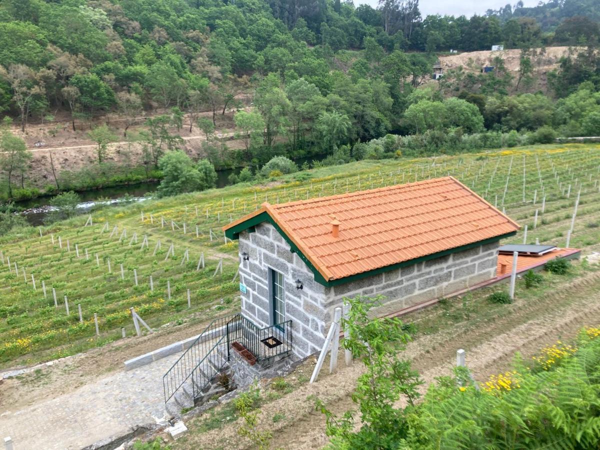 Quinta De Varzielas - Agroturismo Castelo de Paiva Εξωτερικό φωτογραφία