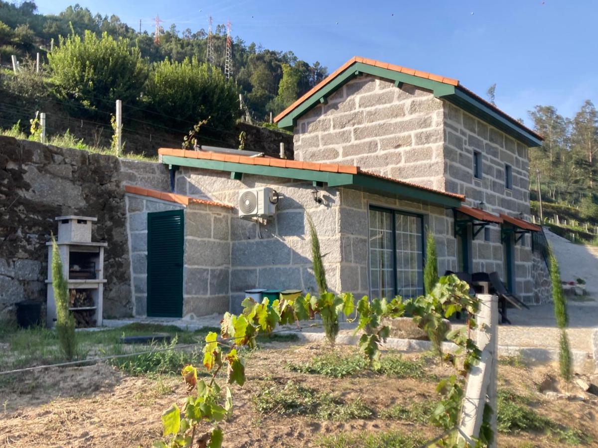 Quinta De Varzielas - Agroturismo Castelo de Paiva Εξωτερικό φωτογραφία