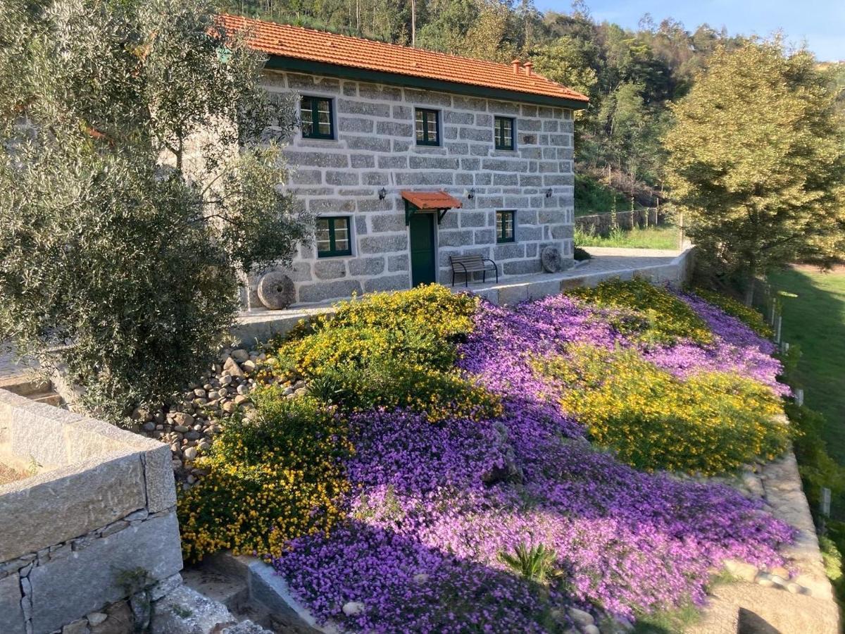 Quinta De Varzielas - Agroturismo Castelo de Paiva Εξωτερικό φωτογραφία